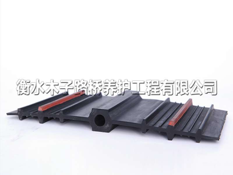 中埋式橡胶止水带图片3