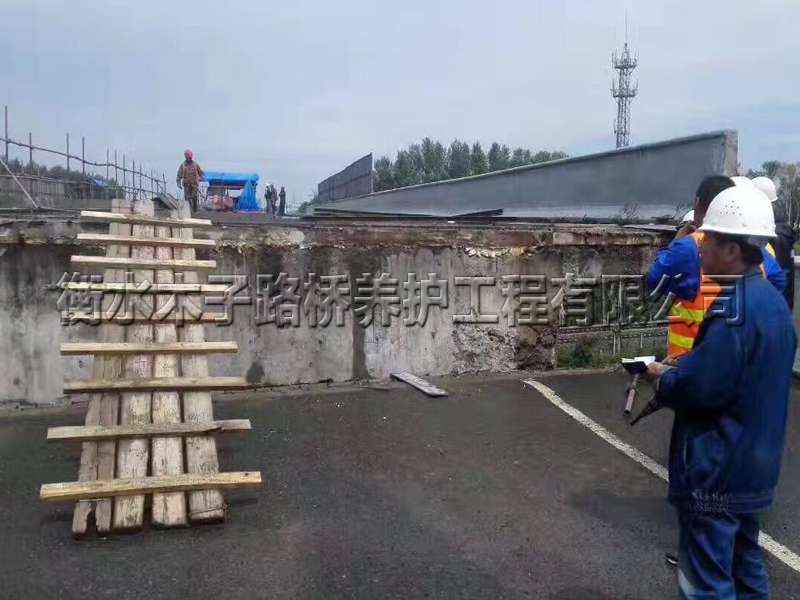 鹤岗--鹤大高速--桥梁整体增高图片3