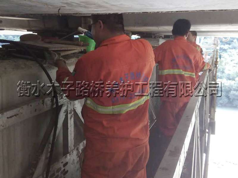 靖边--芦河大桥--维修加固图片3