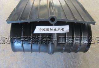 中埋式橡胶止水带